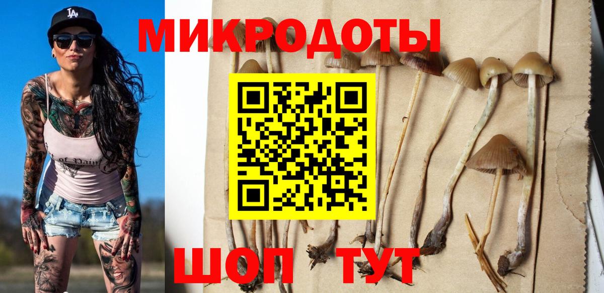 Псилоцибиновые грибы Magic Shrooms  Вход с VPN  Аксай 