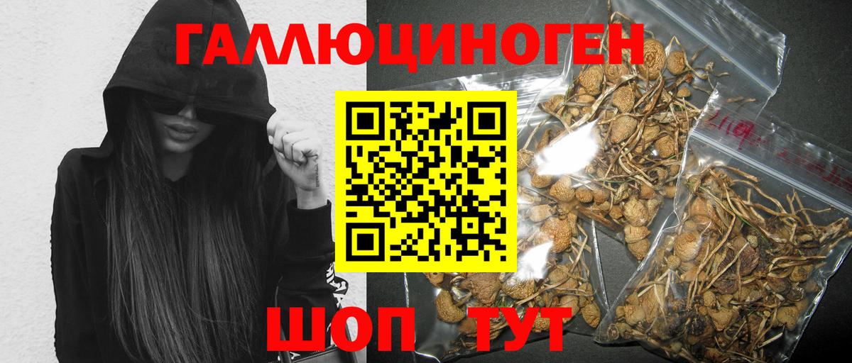Галлюциногенные грибы мухоморы Аксай